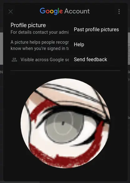 Past profile pictures option